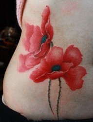 美女腹部唯美潮流的罂粟花纹身图片