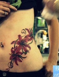 美女腹部唯美好看的百合花纹身图片
