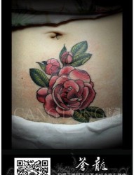 女人腹部疤痕遮盖school玫瑰花纹身图片