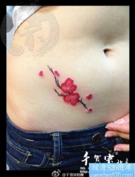 美女腹部唯美漂亮的梅花纹身图片