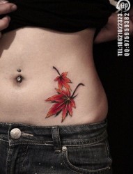女人腹部唯美时尚的枫叶纹身图片