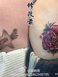纹身遮盖－女人腹部时尚精美的彩色玫瑰花纹身图片