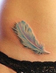 女人腹部清雅的彩色羽毛纹身图片
