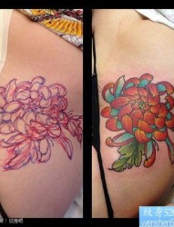 美女腹部时尚精美的菊花纹身图片