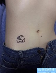 女人腹部一幅小巧的小象纹身图片