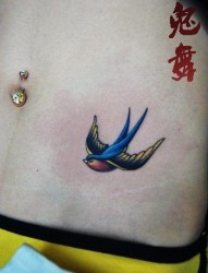 美女腹部小巧时尚的小燕子纹身图片