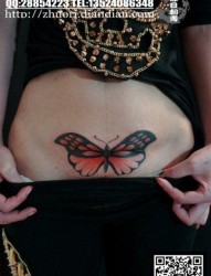 美女腹部唯美漂亮的蝴蝶纹身图片