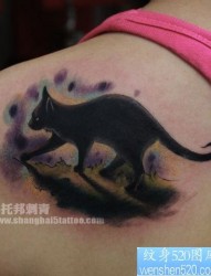 女人肩背可爱流行的猫咪纹身图片