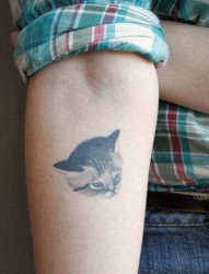 一幅手臂女孩子喜欢的小猫咪纹身图片