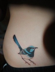 美女腰部彩色小鸟纹身图片