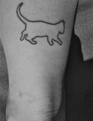 女孩子腿部简单可爱的猫咪纹身图片