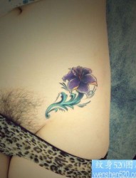 性感的女孩子腹部彩色花卉纹身图片