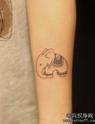 女人手臂简单的小象纹身图片