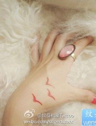 女人手部彩色小海鸥纹身图片