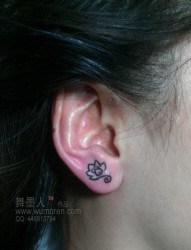 女人耳部一幅小巧的莲花纹身图片