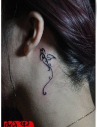 女人耳部小巧的图腾燕子纹身图片