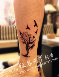 腿部经典潮流的图腾树与小鸟纹身图片