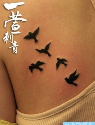 女人背部小巧潮流的图腾小燕子纹身图片