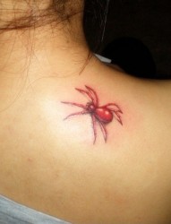 女性肩部红蜘蛛刺青