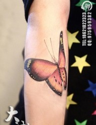 女人手臂唯美潮流的彩色蝴蝶纹身图片