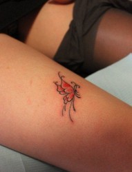 美女腿部小巧可爱的蝴蝶纹身图片