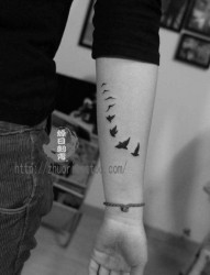 女人手臂小巧流行的小鸟纹身图片