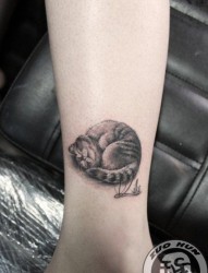 女人腿部可爱小巧的猫咪纹身图片