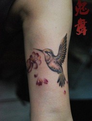 女人手臂小巧时尚的蜂鸟纹身图片