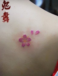 女人后肩背时尚小巧的樱花纹身图片