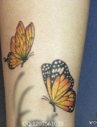 女人小腿小巧唯美的彩色蝴蝶纹身图片