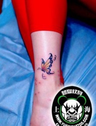 女人腿部时尚小巧的彩色蝴蝶纹身图片