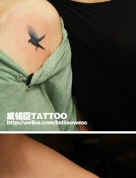 女人肩膀处小巧时尚的小鸽子纹身图片