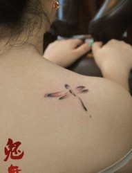 女人肩膀处小巧唯美的小蜻蜓纹身图片