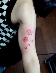 女人手臂时尚潮流的小花卉纹身图片