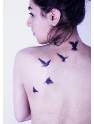 美女后背精美时尚的小鸟纹身图片