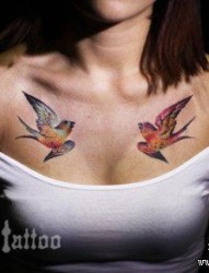 女人胸前精美潮流的小燕子纹身图片