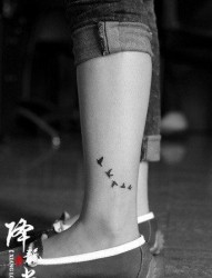 腿部时尚小巧的小鸟纹身图片