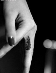 手指可爱小巧的猫咪纹身图片
