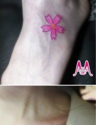 一组小巧精美的樱花纹身图片
