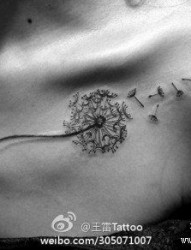 女人胸前唯美小巧的蒲公英纹身图片