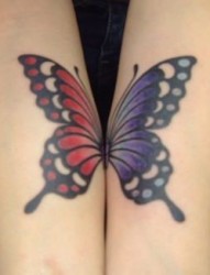 情侣手臂蝴蝶纹身图片