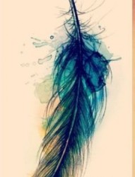 唯美漂亮的羽毛纹身手稿