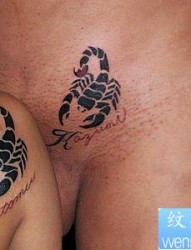 情侣图腾蝎子纹身