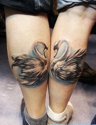 经典另类腿部情侣天鹅纹身图片