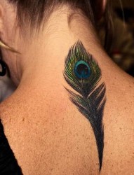 背部漂亮的孔雀羽毛纹身