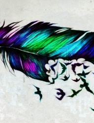 绚丽的羽毛纹身手稿
