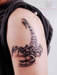 手臂上帅气的蝎子纹身
