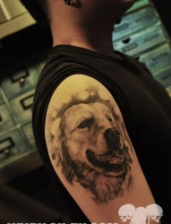男生胳膊宠物狗纹身图片