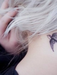 女性颈部小燕子刺青