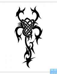 图腾蝎子纹身图片